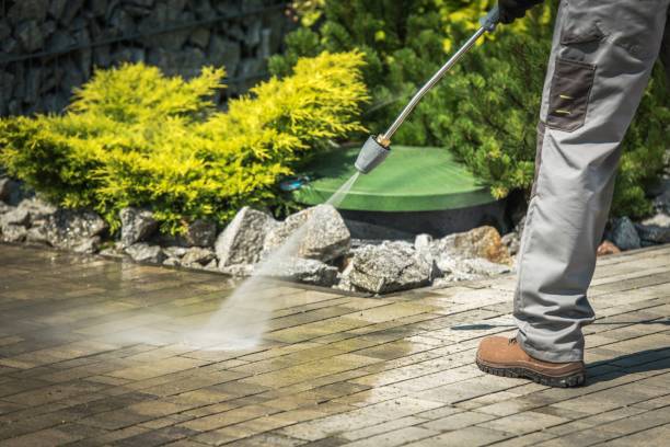 Best Animal Enclosure Cleaning  in Cressona, PA